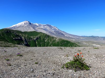 Windy Ridge at Mt. St. Helens NM in WA