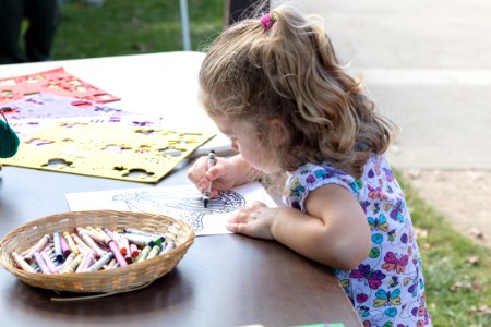 Monarch Butterfly Day 2017