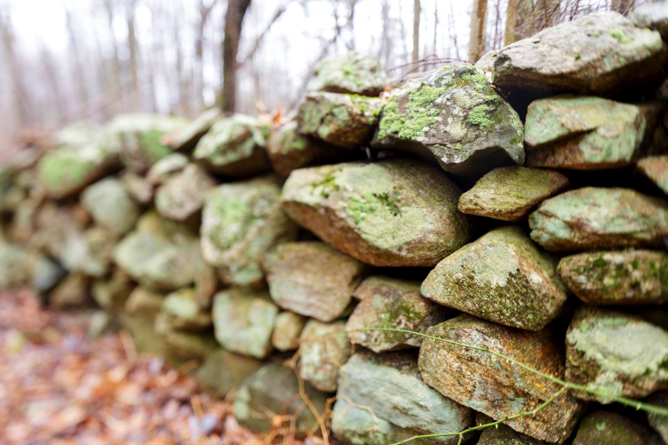 Rock Walls Near Corbin Cabin