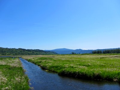 Steigerwald Lake NWR in WA