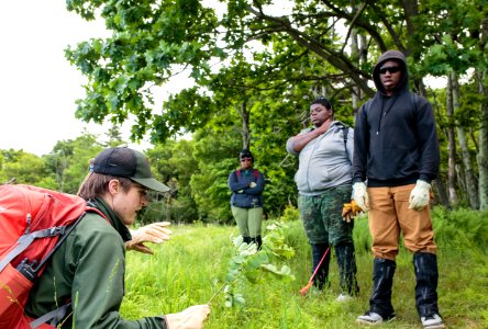 Groundwork RVA's Green Team