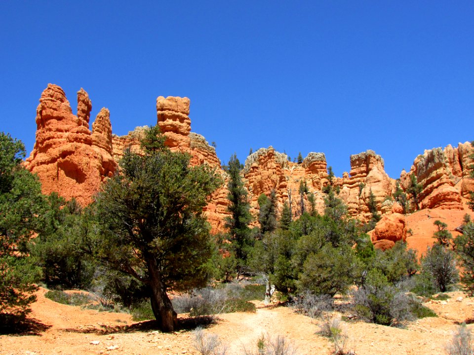 Red Canyon at Dixie National Forest in Utah
