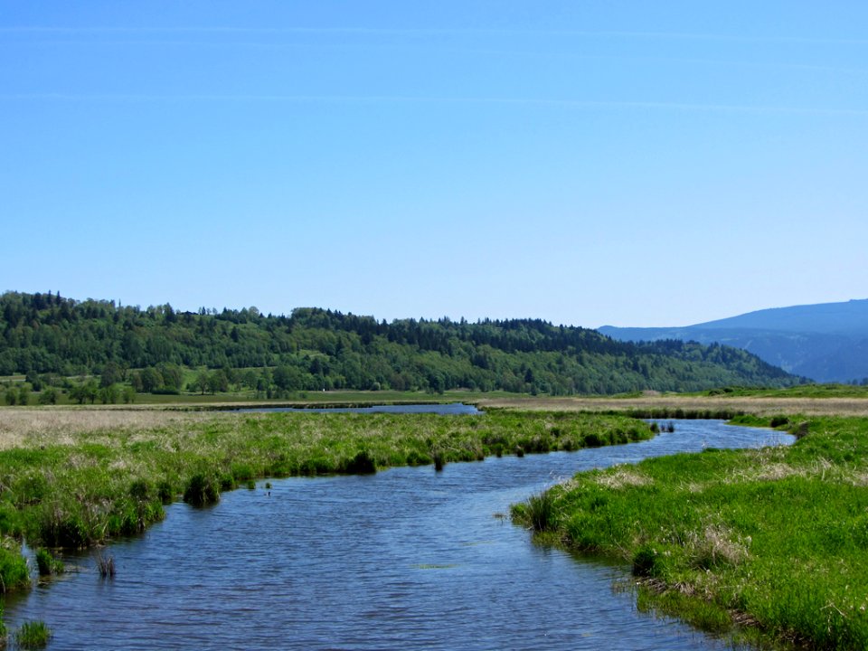 Steigerwald Lake NWR in WA