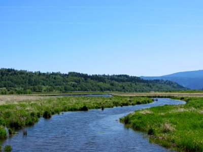Steigerwald Lake NWR in WA