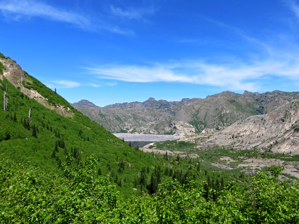 Windy Ridge at Mt. St. Helens NM in WA