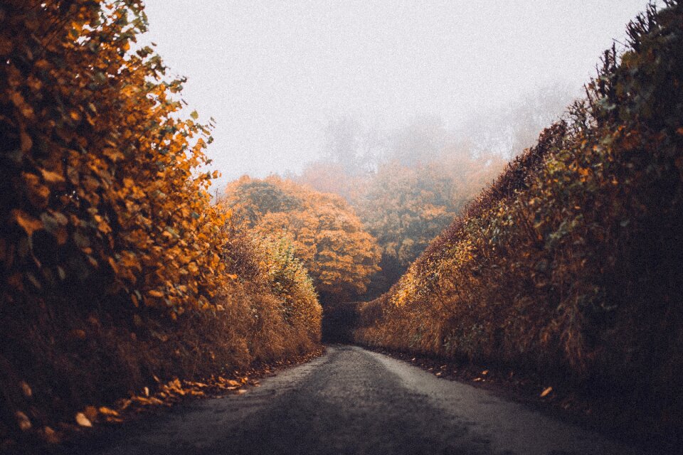 Street asphalt lane