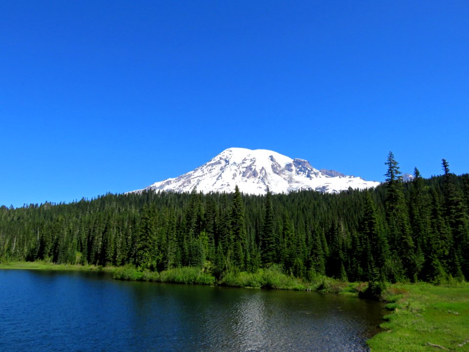 Mt. Rainier NP in WA