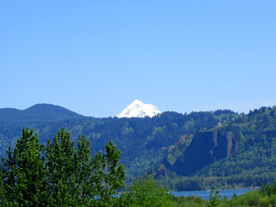 Steigerwald Lake NWR in WA