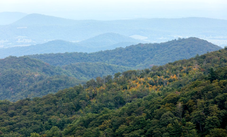 First Colors of Fall