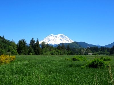 Mt. Rainier NP in WA