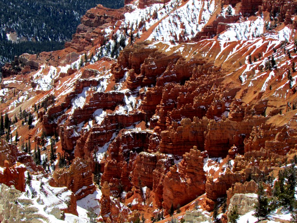 Cedar Breaks NM at Dixie NF in UT