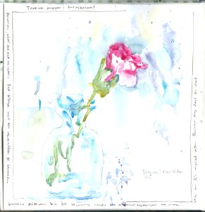 Carnation I