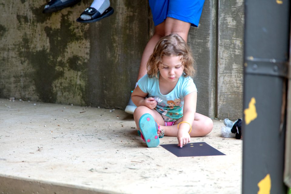 2018 Night Sky Festival- Junior Ranger Program photo