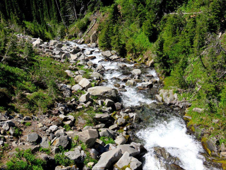 Mt. Rainier NP in WA