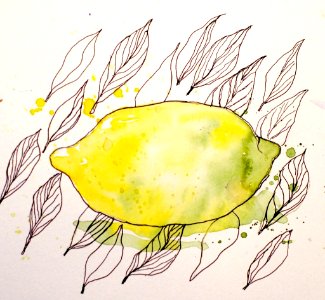 EDM 106