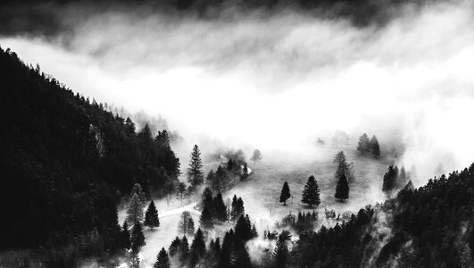 Mist landscape nature photo