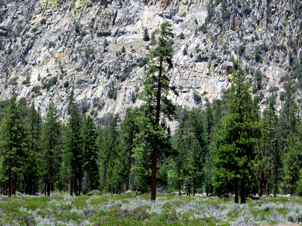 Cedar Grove at Kings Canyon NP in CA