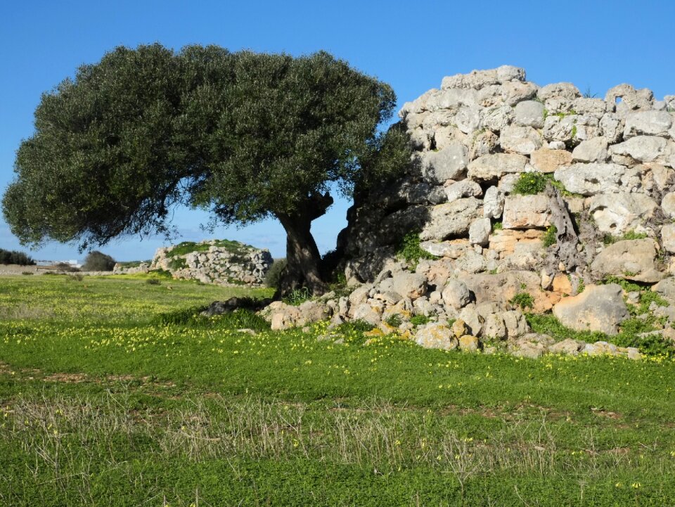 Prehistory minorca talaiot