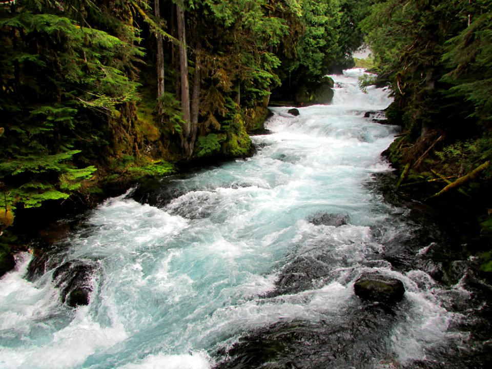 McKenzie River in OR