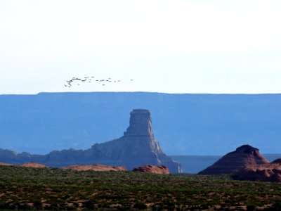 Navajo Land in AZ