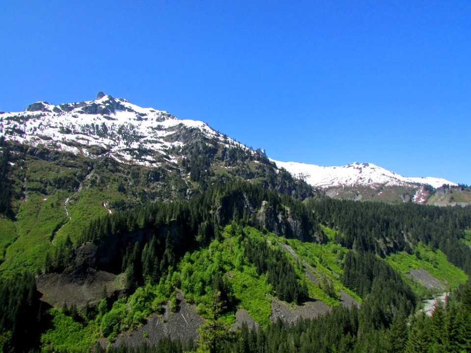 Mt. Rainier NP in Washington photo