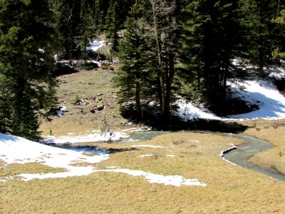 Dixie National Forest in Utah