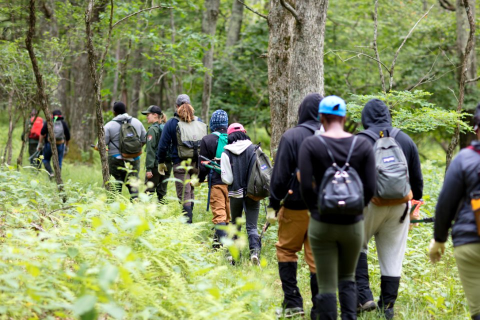 Groundwork RVA's Green Team