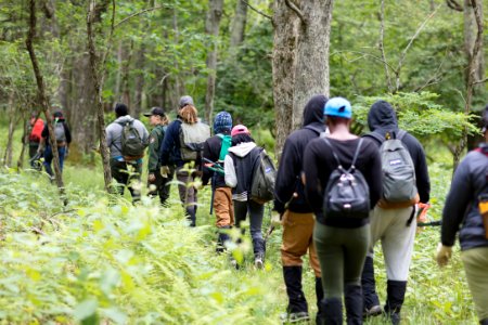Groundwork RVA's Green Team
