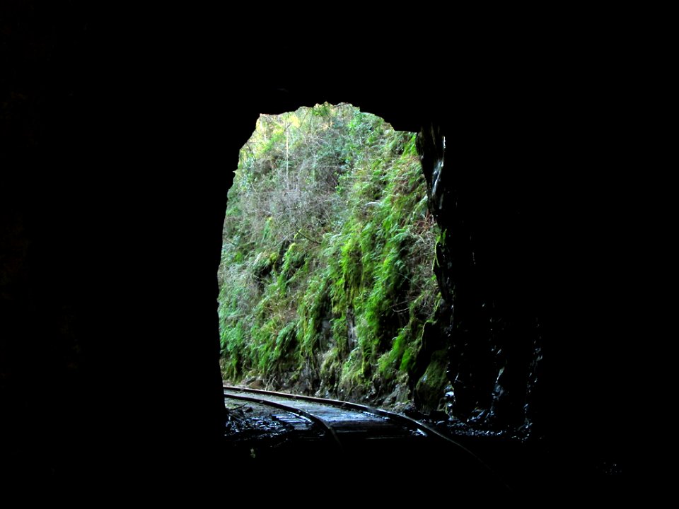 Chelatchie Prairie Railroad at Moulton Falls in WA