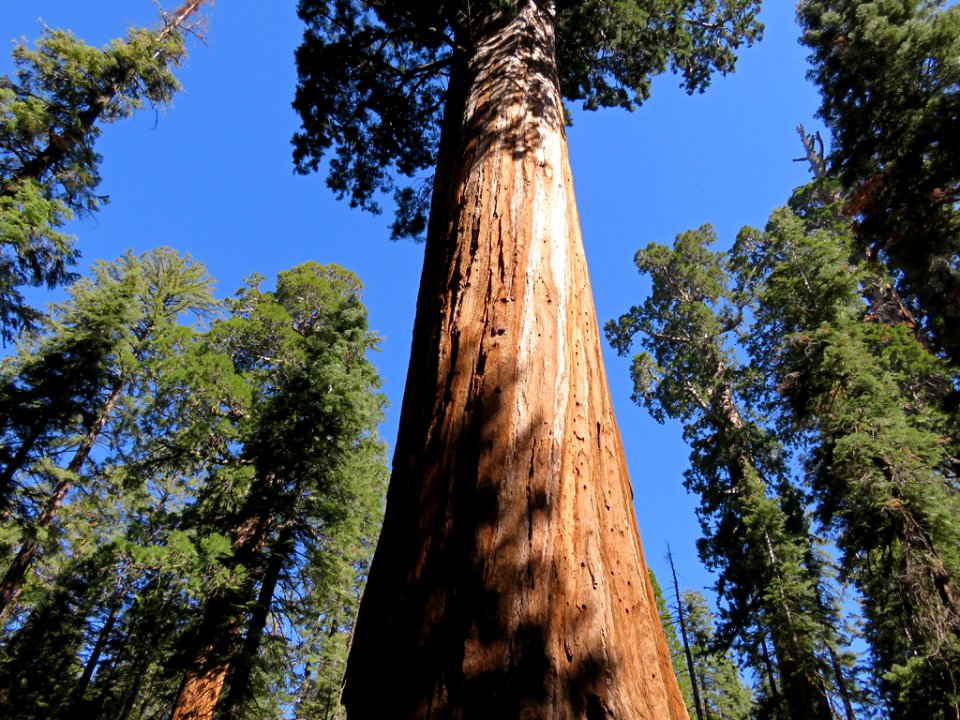 Kings Canyon NP in CA