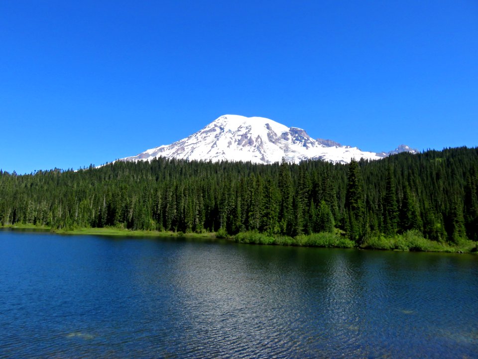 Mt. Rainier NP in WA photo