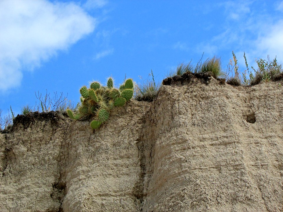 Badlands NP in SD