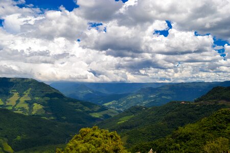Atlantic forest tropical vegetation visual