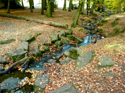 Stream