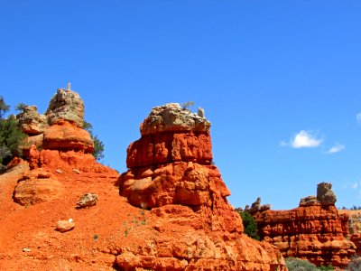 Dixie NF in UT
