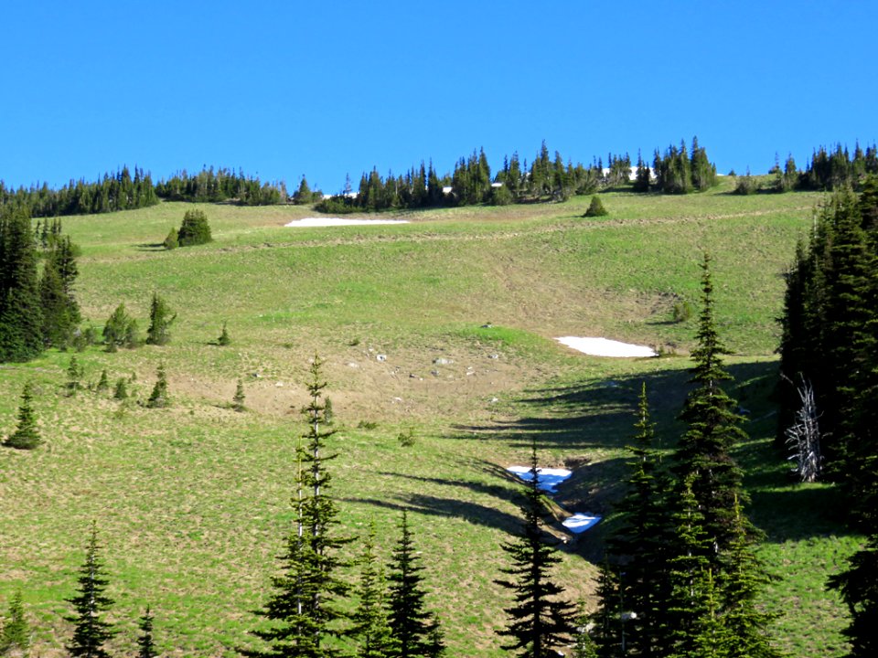 Mt. Rainier NP in WA