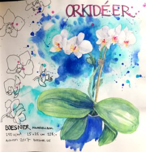 Orchids, in new sketchbook