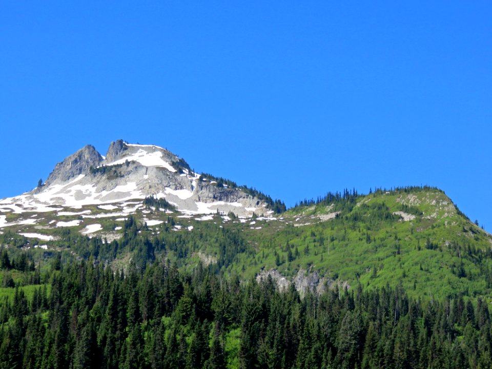 Mt. Rainier NP in WA