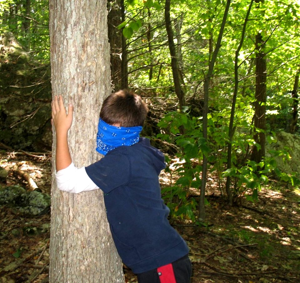 Really getting to know  a tree!