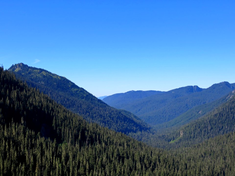 Mt. Rainier NP in WA
