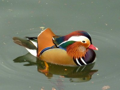 P1020871