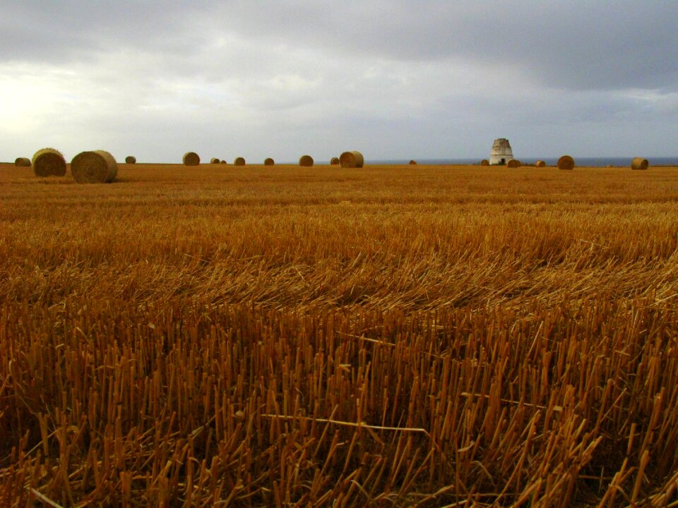 Nature agriculture rural