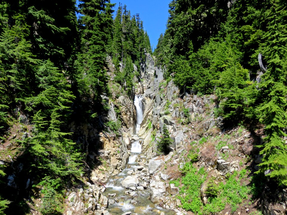 Mt. Rainier NP in WA