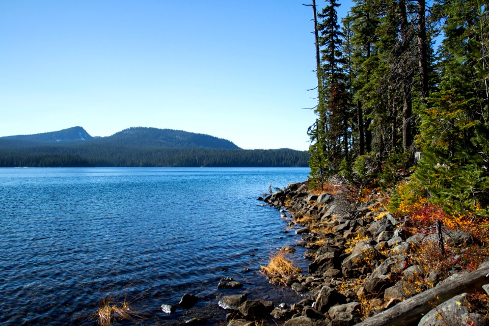 Shadow Bay, Waldo Lake, Oregon