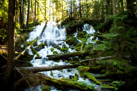 Clearwater Falls, Oregon