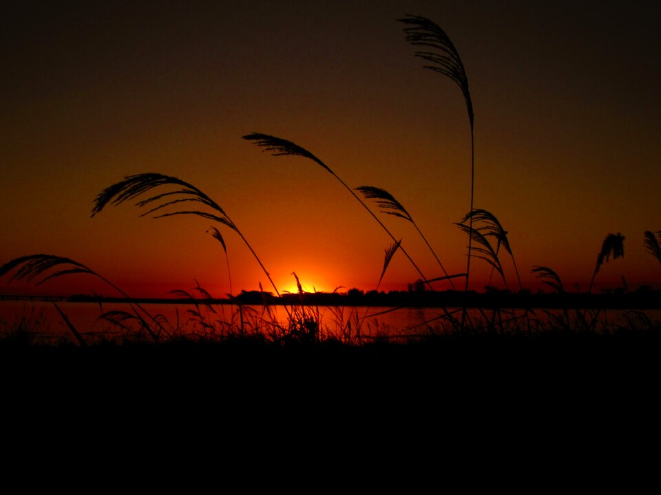 Sunshine sky sunset
