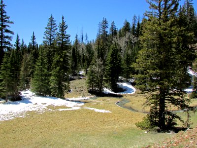 Dixie NF in UT