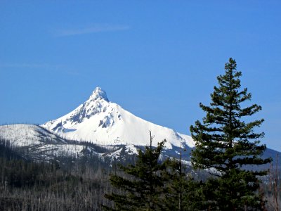 Mt. Washington in Central OR photo