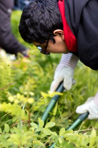 Groundwork RVA's Green Team