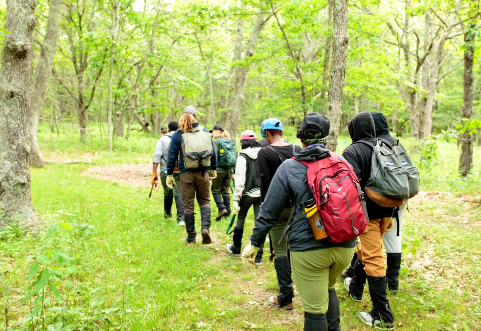 Groundwork RVA's Green Team